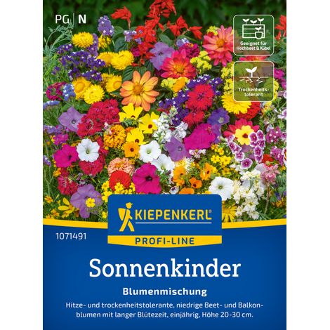 Kiepenkerl Profi-Line Saatgut Blumen-Mischung Pflegeleichte Sonnenkinder für ca. 2-3 m² (1/2)