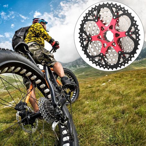 Cassette VTT 8 Vitesses 46T Léger, Compatible Roue Libre Creuse pour Vélo Tout Terrain