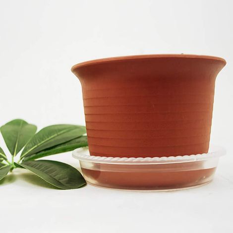 10 soucoupes claires pour plantes en plastique, plateaux d'égouttage pour pots de fleurs intérieur extérieur (1/4)