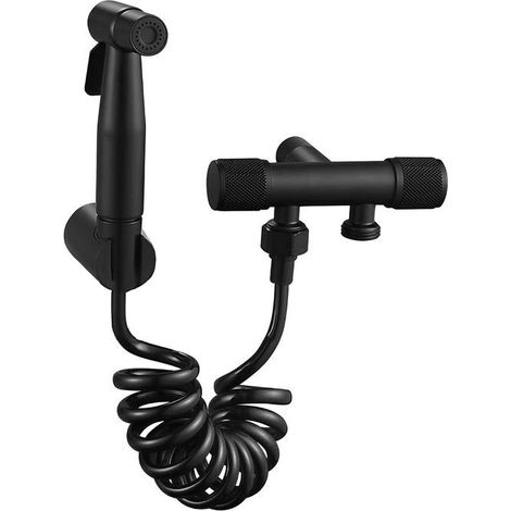 Pistolet de douche - AVIZAR - Douchette Multifonction - Noir - Flexible spiralé - Support mural (1/5)