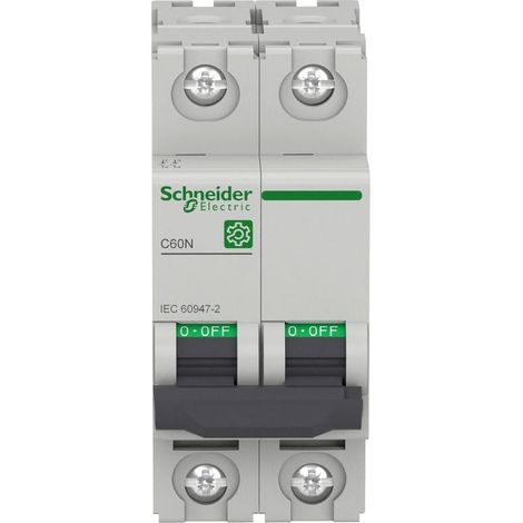 Interruttore Schneider Electric c60h 1A 240V