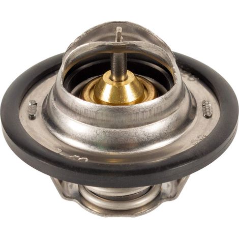 Febi 24028 Termostato (1/4)