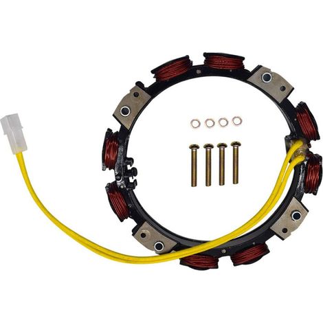 Alternateur 592830 compatible avec les moteurs modèle 445777-0231-E1 (1/4)