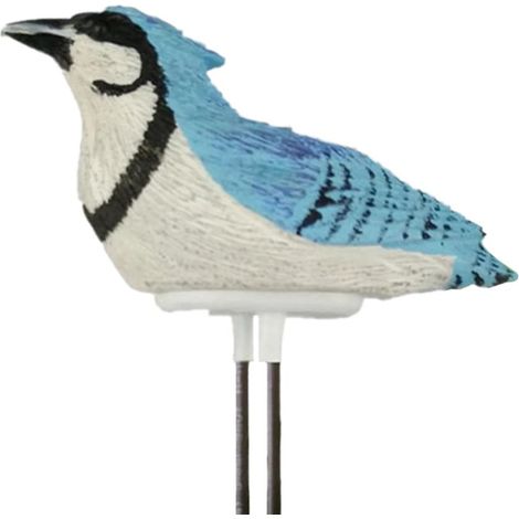 Ovvkultoc Humidimètre d'eau pour plantes, alarme d'arrosage avec chant d'oiseau, testeur d'humidité du sol intelligent en forme d'oiseau, Moniblue 1 pièce (1/5)