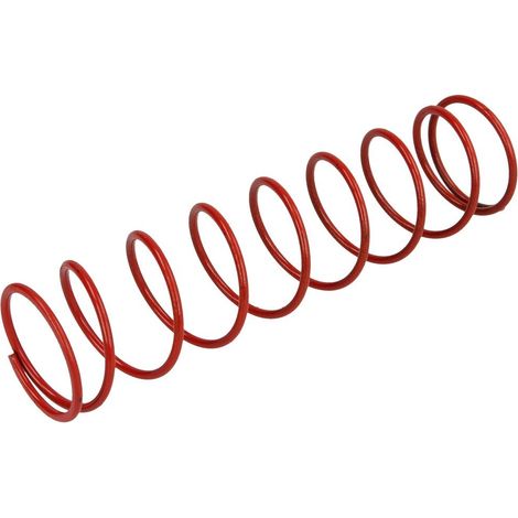 Dungs Ressort de valeur théorique 25-55 mbar, 2’’, DN 40, rouge, ressort 5