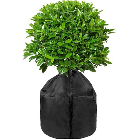Housse Thermique pour Plante en Pot 45x50 cm - Protection Anti-Gel Compacte avec Cordon Réglable (1/5)