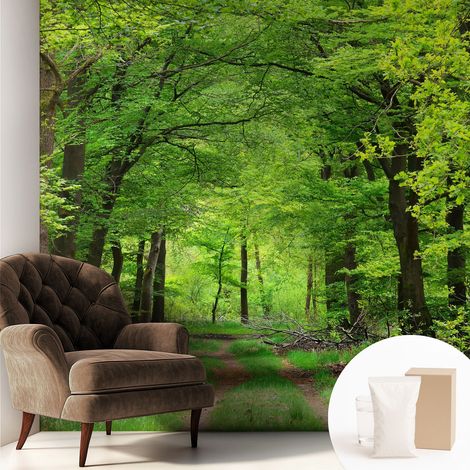 Fototapete Vliestapete mit Kleber - modern Wohnzimmer - Wanddekoration - einfach anzubringen Waldweg 250x250 cm (1/5)
