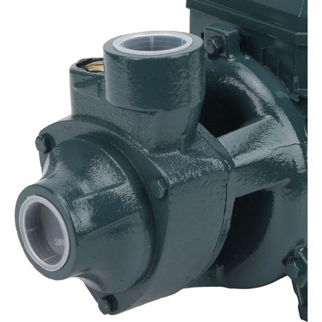 Pompe à eau claire compacte QB70 550 W, pompe vortex pour eau claire, 220 V CA (1/5)