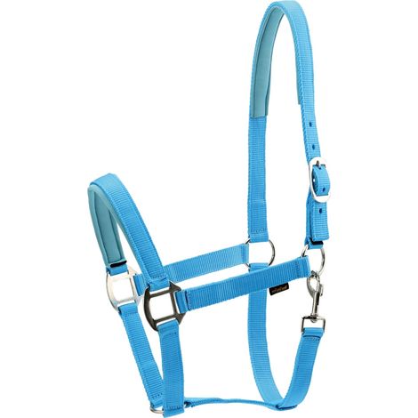 Horse Guard Nylonhalfter für Pferde - türkis - Kaltblut