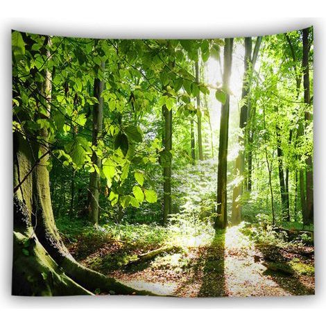 Lntyq Tapisserie Murale 200 x 150cm Décorative Forêt, Paysage Naturel pour Chambre Salon Dortoir (1/5)