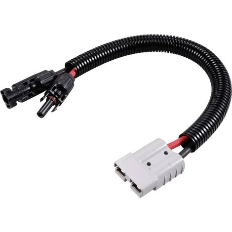 Connecteur Starkstrom vers connecteur solaire type B TC-12195636 noir, rouge TRU COMPONENTS Contenu: 1 pc(s) V160703 (1/3)