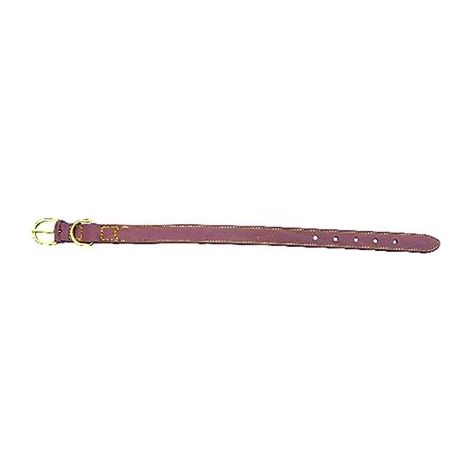 COLLARE PER CANE larg. mm 30 lung. cm 62