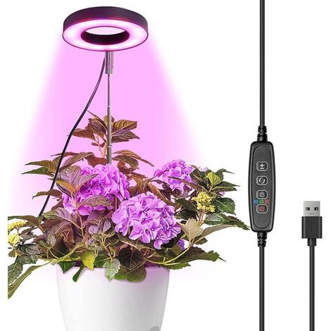 Pflanzenlampen für Zimmerpflanzen USB LED Pflanzenlampen Dimmbare Vollspektrum Pflanzenlampe Höhenverstellbare Lampen für kleine Pflanzen mit Tim (1/5)