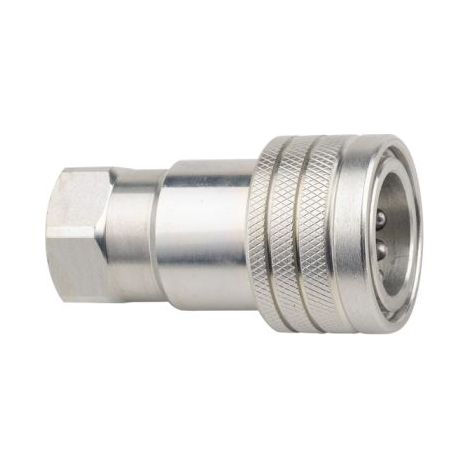 Attacco rapido a fungo BSP da 1/2", presa ISO A (1/5)