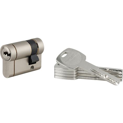 THIRARD - Lot de 10 demi-cylindres  Transit 1, 30x10mm, nickelé, 5 clés - THIRARD