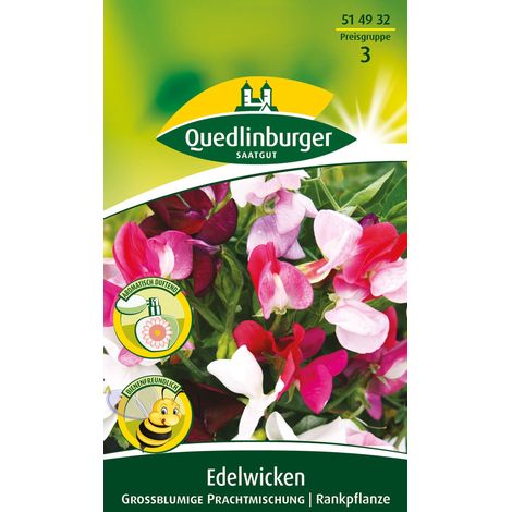 Quedlinburger Saatgut – Pois de senteur à grandes fleurs en mélange – Graines de fleurs, hauteur env. 180 cm, environ 10 plants (1/2)