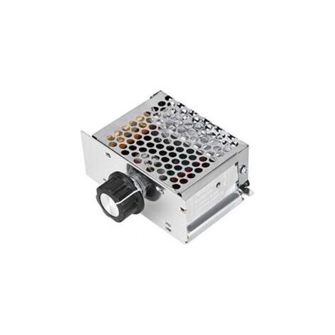 Variateur pour Moteur 220V, Régulateur de Tension AC 4000W, Variateur de Tension 220V, Variateur de Vitesse pour Moteur, Régulateur de Vitesse pour Moteur électrique Variateur (1/5)