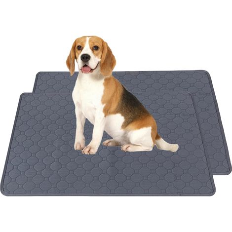 2 Pièces Tapis Educateur Chien 60 x 45 cm Absorbant Chien Lavable, Gris,Réutilisable Tapis de Dressage, Puppy Pads, Imperméable et Antidérapante (1/5)