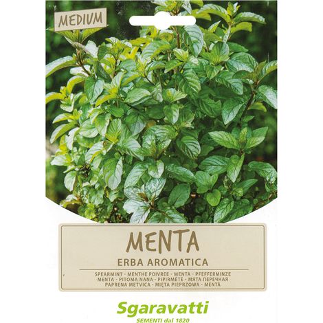SEMI PER ORTAGGI E VEGETALI menta spicata Q.TA 20 menta spicata