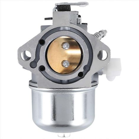 Carburateur pour moteur Briggs & Stratton 28M707 28R707 28T707 28V707 694941 699831 (Tondeuse à gazon) (1/5)