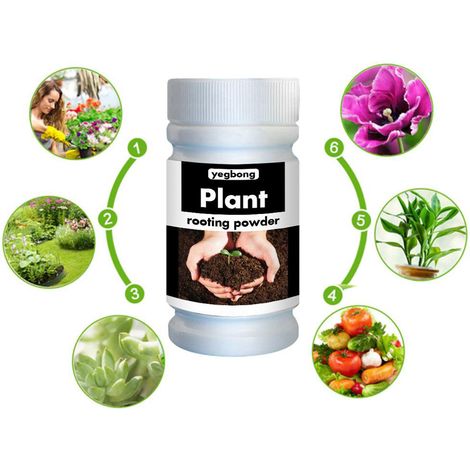 Poudre d'enracinement rapide pour plantes et fleurs, stimulateur de croissance, engrais de transplantation, améliore la survie des boutures et la floraison (1/4)