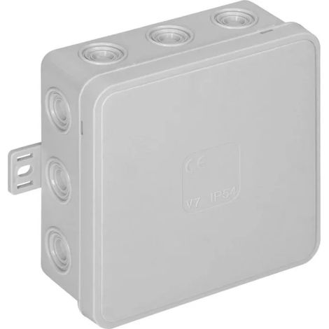 Boîte de dérivation orno click ip54 12 entrées 100x100 mm (1/3)