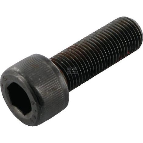 Vite cil. M10x1x30 DIN912 WOLF-GARTEN 0011420