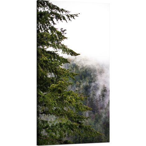 Leinwanddruck Natur Berge Nebelwald 60x120