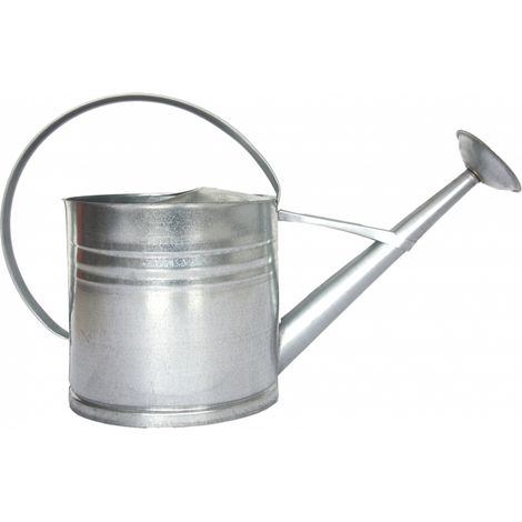 Arrosoir en acier - L 20 x l 62,5 x H 40,3 cm - Argenté - Livraison gratuite