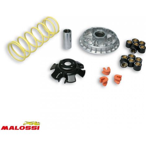 Malossi-Drehzahlregler für Quad Kymco 300 Maxxer 2006 bis 2022 (1/2)