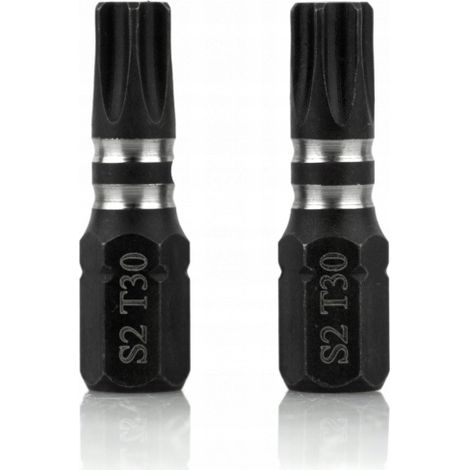 Punta Torx smart torx t30 25 mm 2 pezzi magnetizzata (1/3)