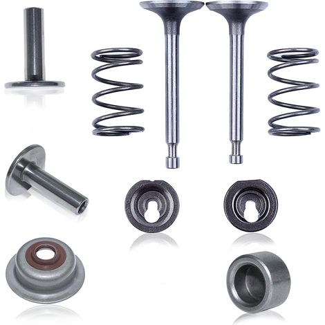 Soupape GX160, siège de soupape, jeu de ressorts de soupape 6 pièces, pour tondeuse à gazon pour Honda GX160 GX200 5,5HP 6,5HP 14711-ZF1-000 (In.), 14711-ZF1-000 (po), 14721-ZF1-000 (Ex.) (1/5)