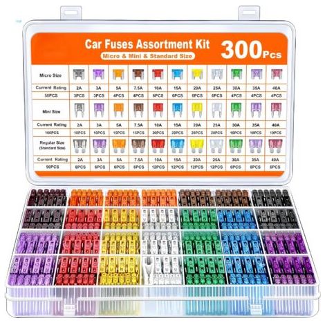 300Pcs Fusible Voiture Set, 160 Mini Fusible Auto + 90 Moyenne Fusible Automobile + 50 Micro Fusible + Extracteur - pour Voiture/RV/Camion/Moto (2A 3A 5A 7.5A 10A 15A 20A 25A 30A 35A 40A) (1/5)