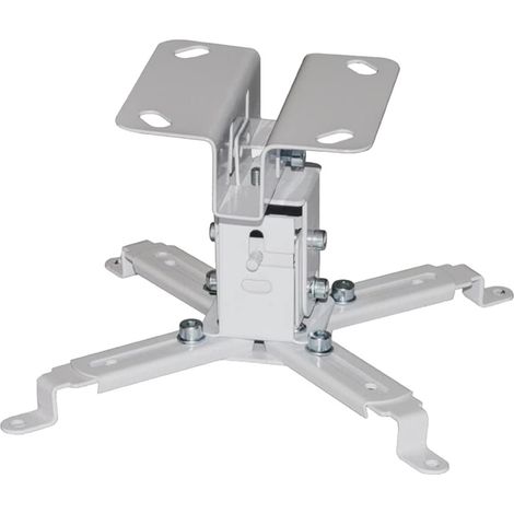 Techly ICA-PM 2S Projektorhalterung Decke Silber (1/4)