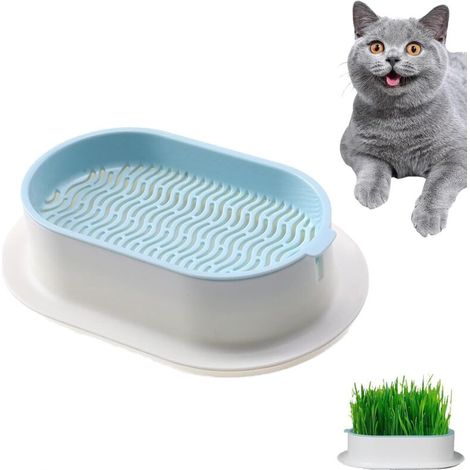 Katzenminze-Pflanzgefäß, Katzenminze-Topf, Pflanzgefäß für erdfreie Katzenminze, Hydroponische Katzenminze-Box, Katzenminze-Pflanzgefäß für drinnen und draußen (1/4)