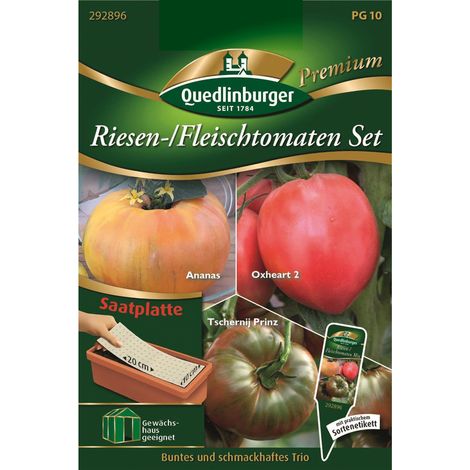Quedlinburger Saatgut – Tomates géantes / charnues, set trio – Plaque de semis 10 x 20 cm, graines de légumes (1/2)