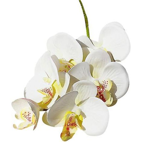 fleur artificielle papillon orchidée flexible pour jardin, décoration DIY fête mariageblanc (1/5)