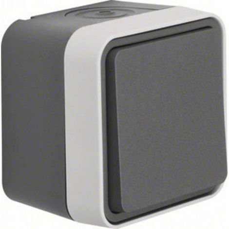 Berker Commutatore Superficie W.1 Grigio, Grigio luminescente 30763505 1 pz. (1/2)