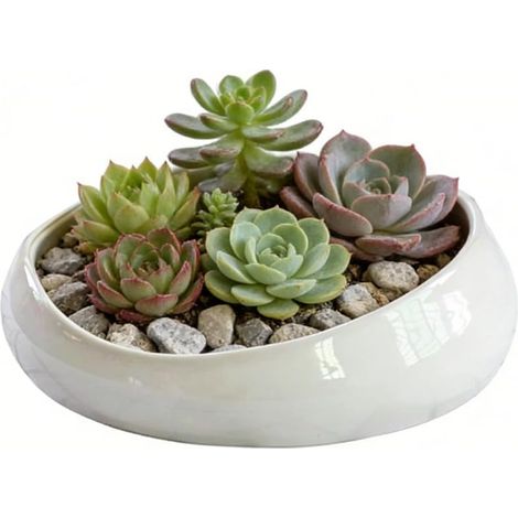 Pot de Plantes Grasses d'intérieur en céramique de 21 cm avec Trous de Drainage, Art Moderne et décoratif, Cadeau pour Maman, Blanc (1/5)
