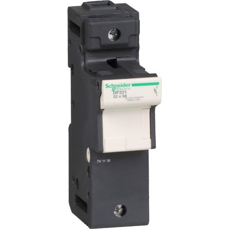 TeSys - porte-fusible - 1P - 125A - pour fusible 22x58mm - DF221