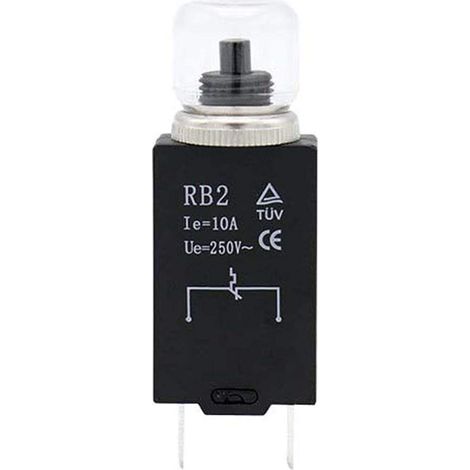 Interrupteur Thermique RB2 - Lot de 2 - Plastique Ignifuge - Protection Moteur 250V 10A - Usage Industriel - Réarmement Manuel (1/5)