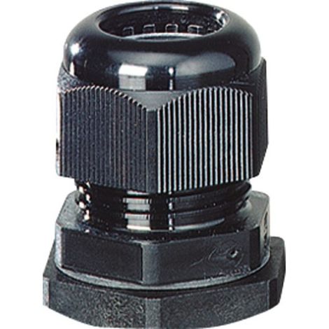 HENSEL CULTURE CÂBLE EMBOUT IP67 M12 ASS 12 36000165
