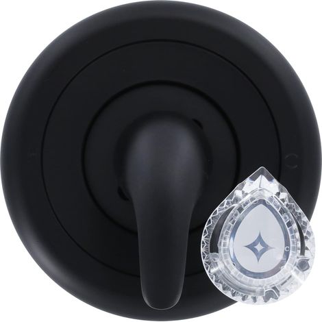 11083 Utilisation avec Les robinets de Baignoire et de Douche Moen Kit de Garniture, Noir Mat, No Size (1/5)