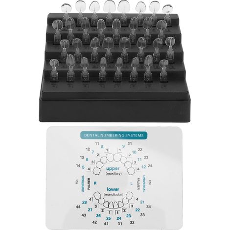 32 pièces empreintes dentaires résine composite, formes variées, résistant à la chaleur, pour dents avant et arrière (1/5)
