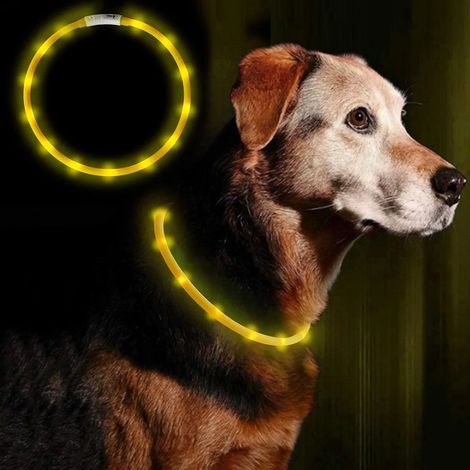 Filiyano-Collier lumineux LED rechargeable par USB - collier de sécurité à longueur réglable pour chiens et chats (1/4)