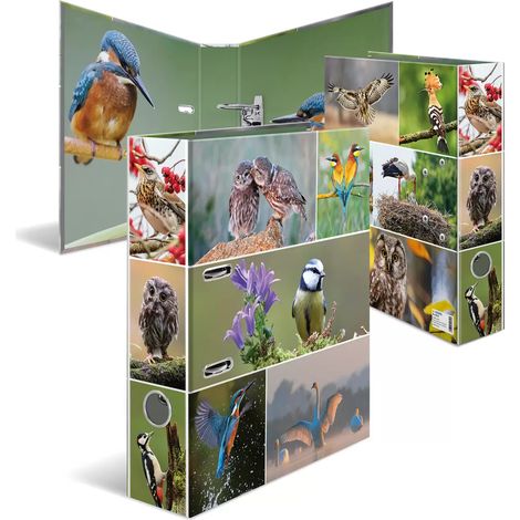 Carpeta A4 - P谩jaros (1/5)