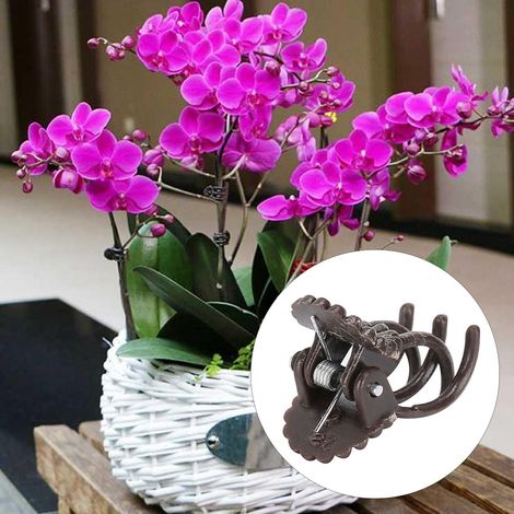 200 Stück blütenförmige Pflanzenclips, Orchideenstängel-Befestigungsclips, Gartenwerkzeugzubehör, braun (1/5)