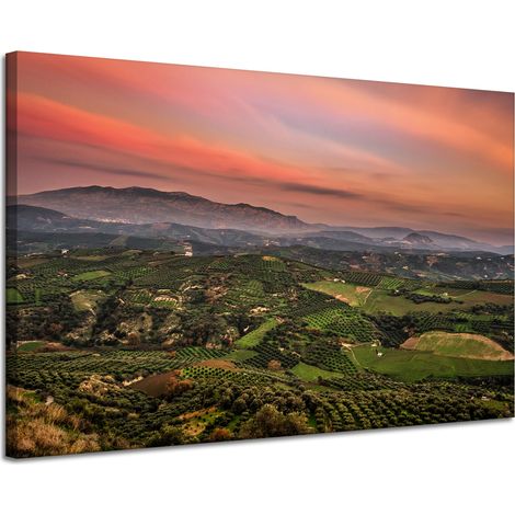 Leinwanddruck Naturpanorama des Hochlands 120x80 cm