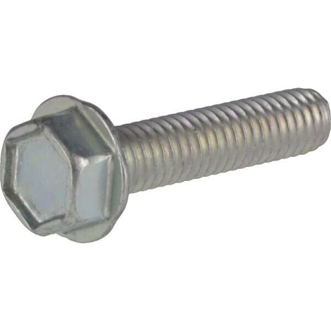 Vis BRIGGS & STRATTON 704318 (1/2)