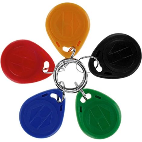 125KHz Smart ID Key Tag RFID Carte de contrôle d'accès Proximité EM4100 TK4100 Keyfobs Porte-clés RFID NFC Token Badge Holder (10, Couleur Mixte) (1/5)